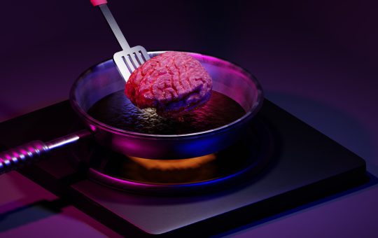 OpenAI rolls out ChatGPT memory to select users