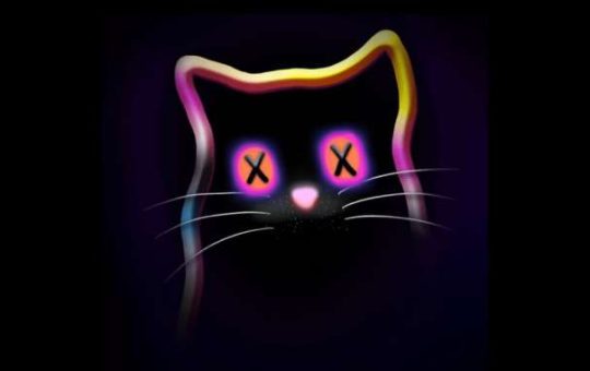 Quantum Cats' Flipping Frenzy Propels Sales to $13M