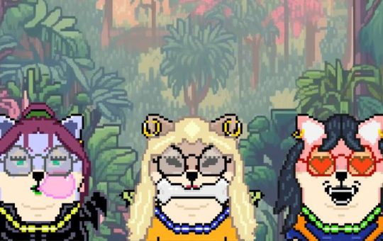 Shiba Inu Exploits DN-404 Standard for Latest NFT Endeavour