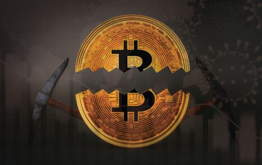 How Should the Bticoin Halving Impact the Cryptocurrency Market