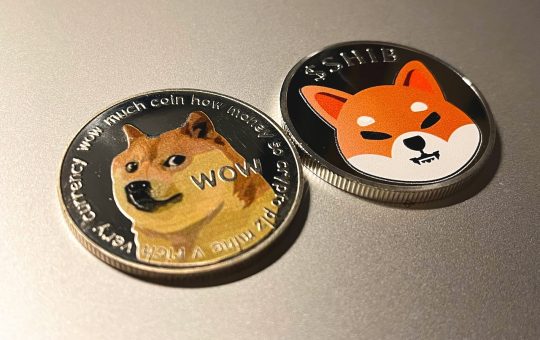 Meme coins