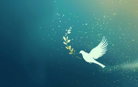 Exclusive: Maven AGI's $28M funding round signals the rise of generative AI in customer support