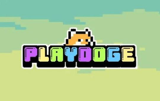 Meme Coin Prices Crash But Traders are Backing PlayDoge as Presale Raises $4.2M
