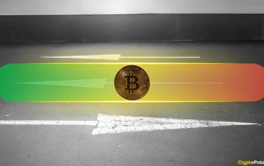 Bull or Bear Phase? CryptoQuant Says Bitcoin Is at a Pivotal Point