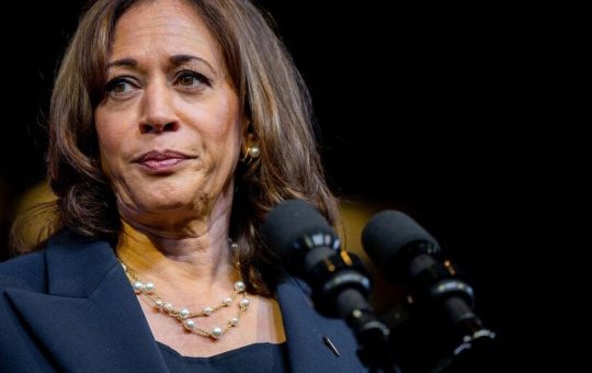 Kamala Harris Campaign Showing 'Concerted Effort' to Understand Crypto: Circle CEO