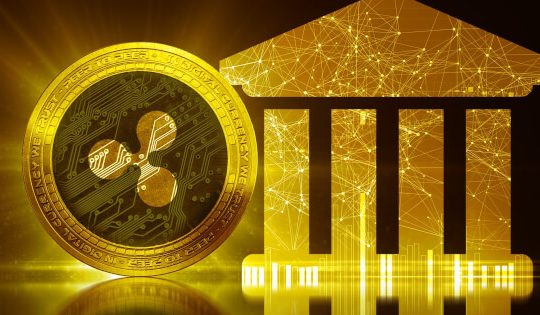 Ripple (XRP)'s Q2 2024 XRP Markets Report Highlights Volatility and Regulatory Wins
