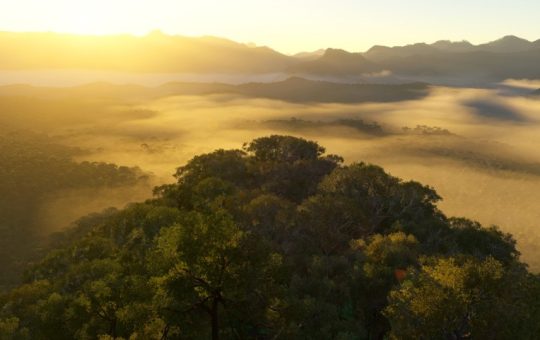 The metaverse didn't die. It moved inside Microsoft Flight Simulator 2024 | Jorg Neumann interview