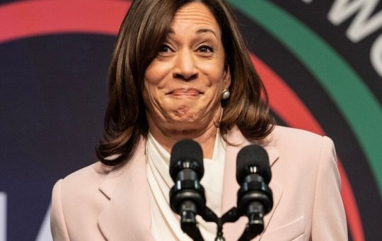 Why Kamala Harris' VP Pick Just Twitch Streamed a Rally Alongside World of Warcraft