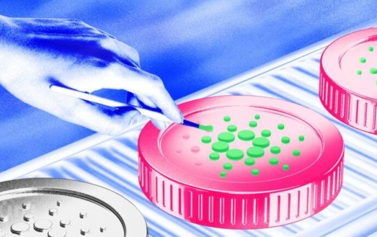 Cardano Whales Pour $140 Million into ADA as Buy Signal Emerges