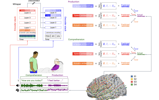 A Unified Acoustic-to-Speech-to-Language Embedding Space Captures the Neural Basis of Natural Language Processing in Everyday Conversations