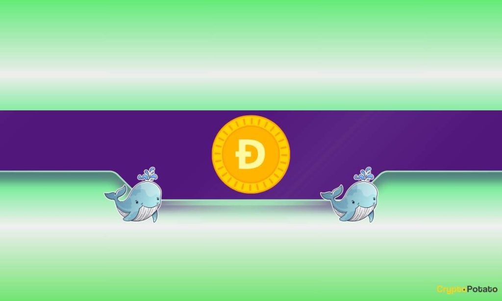 What Are Dogecoin Whales Preparing For?