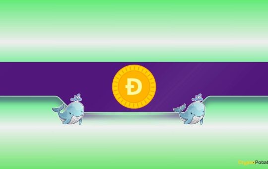 What Are Dogecoin Whales Preparing For?