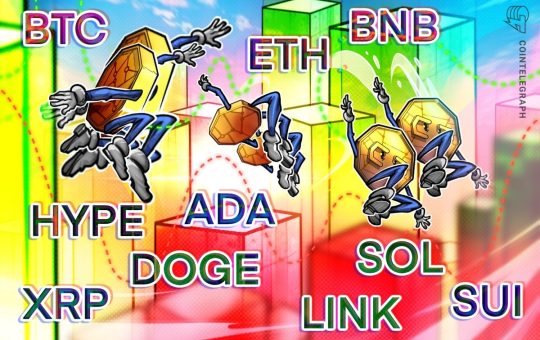 BTC, ETH, XRP, BNB, SOL, DOGE, ADA, HYPE, SUI, LINK