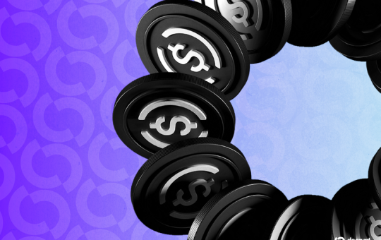 Circle Stock in Up Only Mode Even as Bitcoin, Crypto Market Struggle—Why?