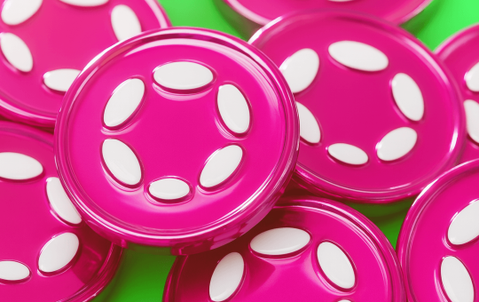 DOT Market Cap Declines as Critics Raise Concerns Over Ecosystem Traction