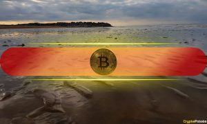 Digital Asset Funds Add $224M, But Investment Momentum Slow
