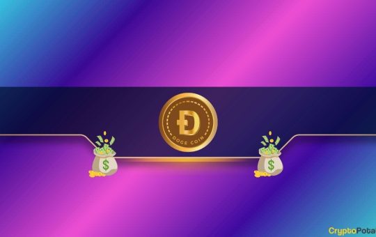 Dogecoin's (DOGE) Price Could Dump to 2025 Lows if This Support Fails: Analyst