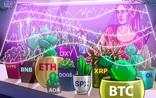 Altcoins Chase New Highs After Bitcoin Hits $123,000