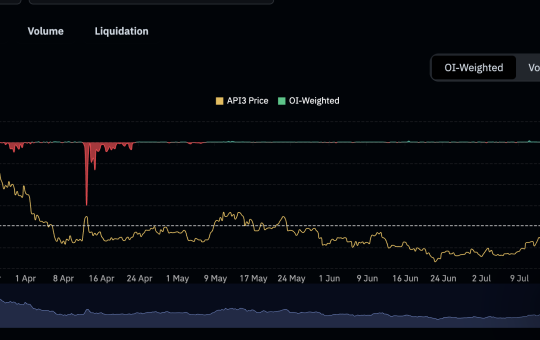 API3 shorts in focus