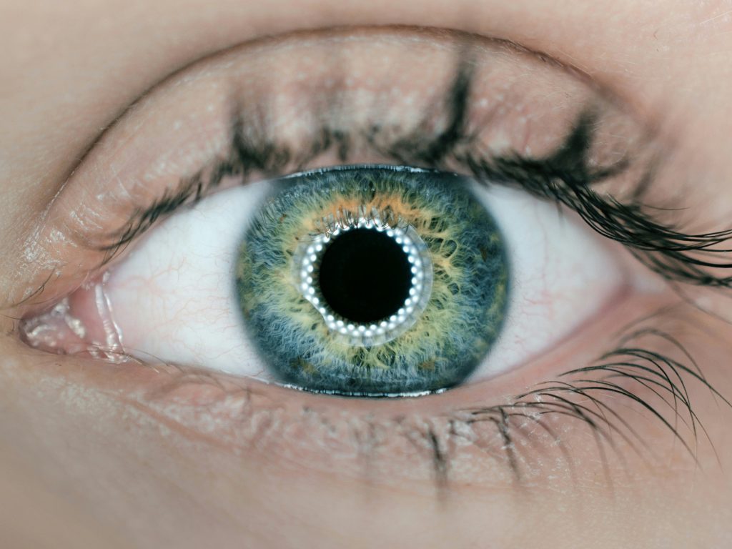 SoundHound is giving its AI the power of sight