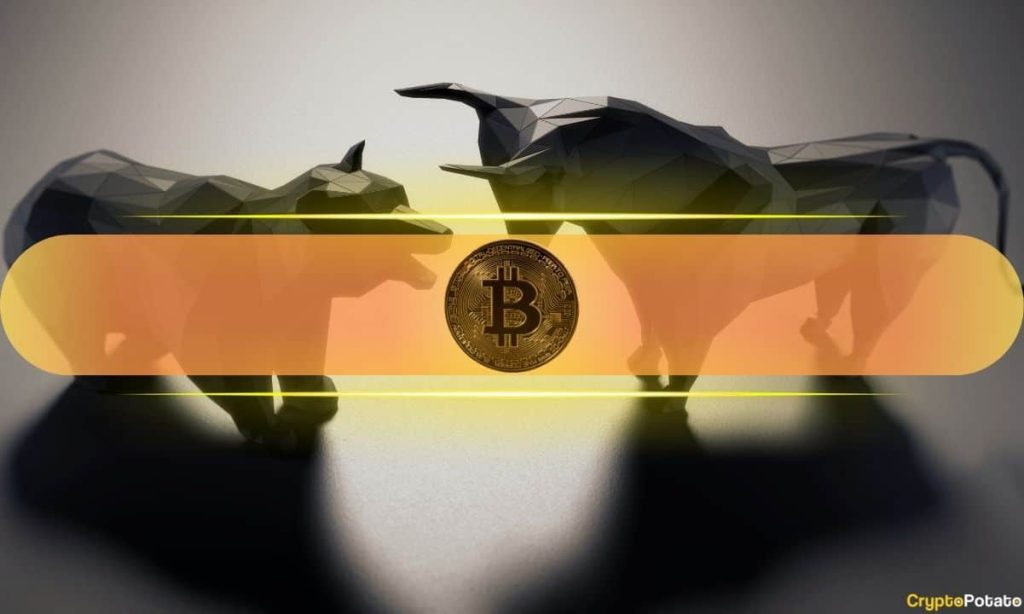 What On-Chain Data Means for BTC's Future