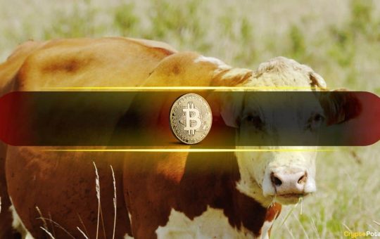 Bitcoin Bull Market Ending in 50 Days, Says Analyst
