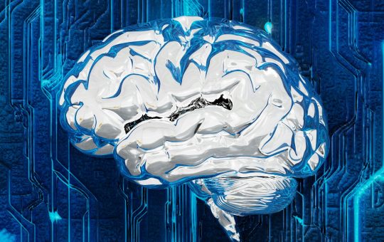 CAMIA privacy attack reveals what AI models memorise