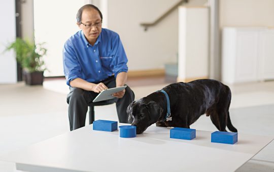 Illustration for article on AI causing cognitive decline in users.