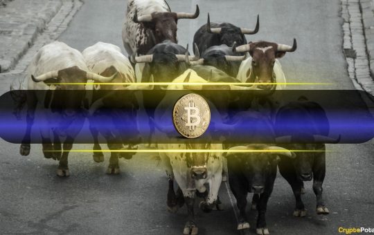 Bitcoin’s Bull Run Backed by Growing Long-Term Holders