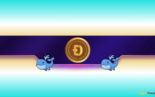 Is Dogecoin Gearing up for Further Rally?