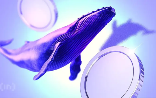 Whales Buy the Dip: Institutional Demand Surges for BTC, ETH