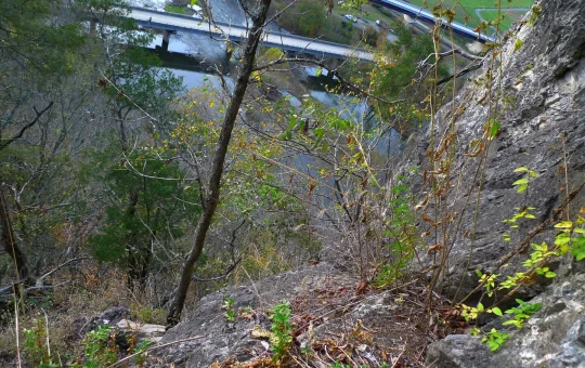 50,000 Copilot licences for Indian service companies