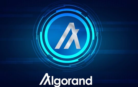 Algorand (ALGO) Reports Stable Growth Amid Market Challenges in November 2025