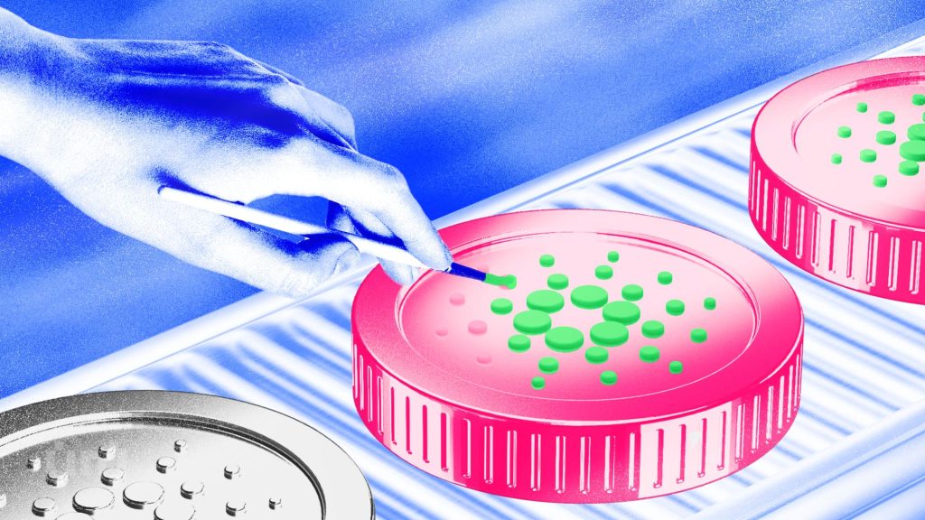 Cardano Price Eyes 79% Breakout Target — Here’s How