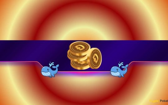 Why Whales Are Selling and ETFs Are Flopping