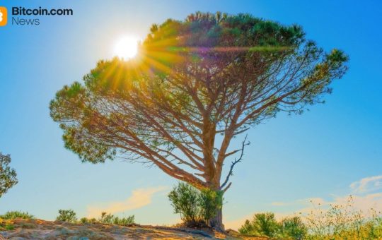 Wisdomtree Launches Tokenized Equity Options Strategy Fund for Crypto-Native Investors