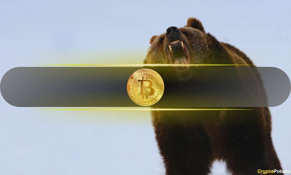 Current Bear Market Performance Worse Than 2022: Analysts