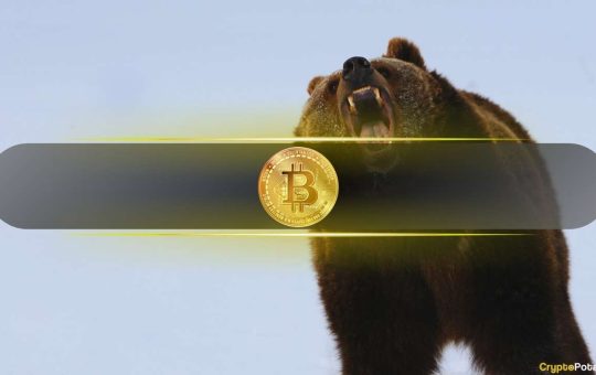 Current Bear Market Performance Worse Than 2022: Analysts