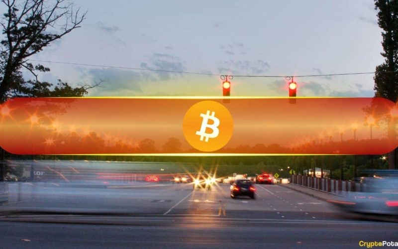 Months More Bitcoin Consolidation Expected as Long-term Holder Activity Decreases