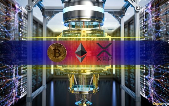 Ranking the Most and Least Quantum-Resistant Assets