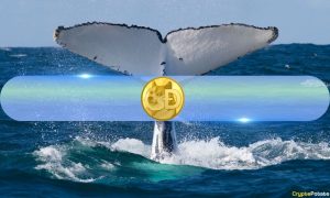 Dogecoin (DOGE) Whales Quietly Accumulate as Holdings Hit Record Levels