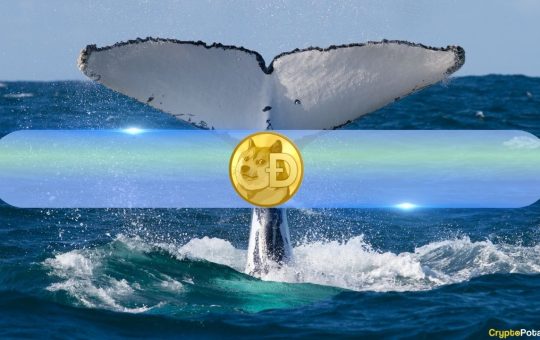 Dogecoin (DOGE) Whales Quietly Accumulate as Holdings Hit Record Levels
