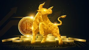 Bitwise Sees Bottom Forming Ahead of Fall Rally