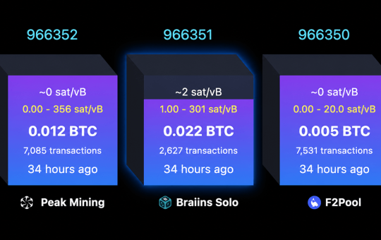 Solo Bitcoin Miner Hits $244K Jackpot After Nearly 40-Day Drought
